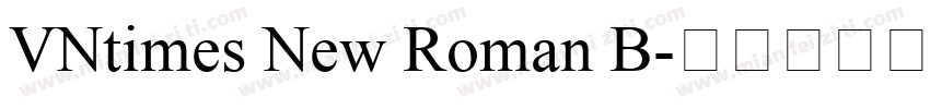 VNtimes New Roman B字体转换
